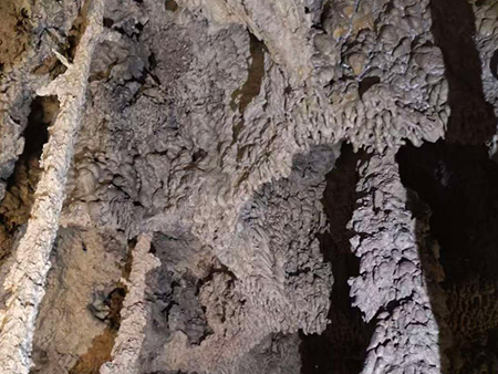 ʪ����������ϴ/�������������ϴ/�粶��������ϴ/��ϴǰ